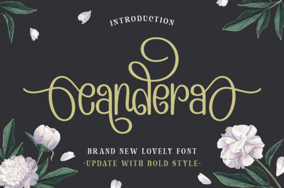Bringing Your Designs to Life with the Candera Display Font