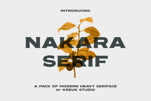 Elevate Your Editorial Design with Nakara Serif: A Bold Display Font for Impactful Typography